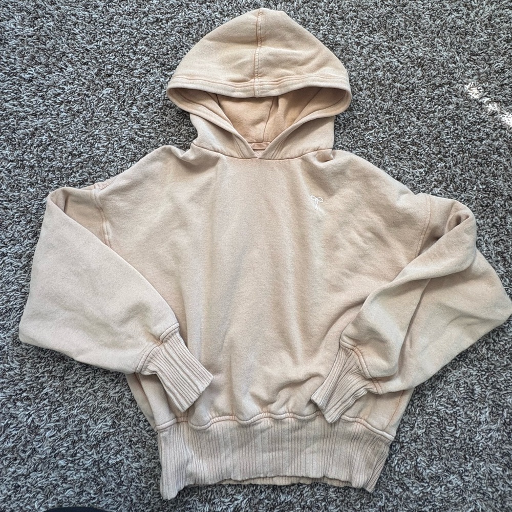 Aerie Women's Hooded Sweatshirt Cozy Pullover